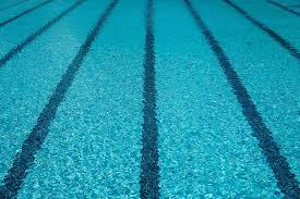 53 Best Indoor Swimming Pools Melbourne • TOT: HOT OR NOT