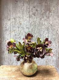 Visit our site and check out our products today. Sweetpea S Toronto S Best Florist