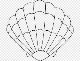 Maybe you would like to learn more about one of these? Seashell Coloring Book Drawing Oyster Seashell Angle White Png Pngegg