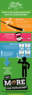 It's been discovered that metabolites that are deposited in hair follicles have a much longer. How Long Does Thc Stay In Your System Weedseedshop
