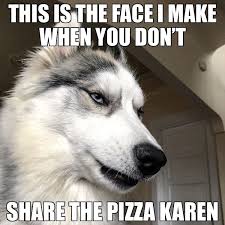Gib Him De Foods Karen Husky Memes Dog Quotes Funny Dog Jokes