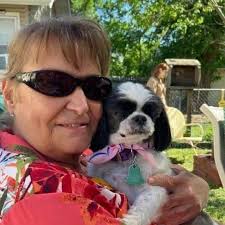 Help please🙏 This is my black eyed Susan, why are the leaves curling like  this? Watered regularly, in the sunniest spot in the garden. Bought last  year and a 4 inch sapling,