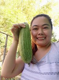 apple and raspberry picking