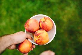 fresh peach daiquiri a thought for food