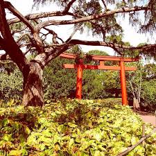 Ein Stuckchen Japan In Karlsruhe Der Japangarten Im Zoologischenstadtgartenkarlsruhe Visitkarlsruhe Ex Garden Arch Instagram Pictures Outdoor Structures