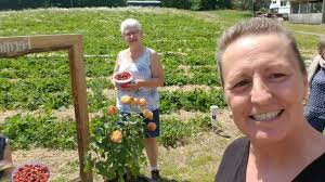 Wow! wow! wow!!!, Oui l’autocueillette de fraises est ouverte et c'est  l'abondance 😃 ainsi que les framboises depuis vendredi!!!, Le kiosque de  légumes est ouvert avec pleins de beaux légumes frais, ...
