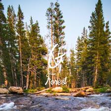 As the solitary overcomer of a traveler stream crash, you end up in a secretive woods doing combating to remain alive against a general public of inhuman freaks. Stream Forest Free Download By Vlad Gluschenko Listen Online For Free On Soundcloud