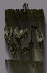 Image result for Corbichonia rubriviolacea