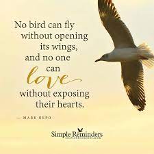 No Bird Can Fly