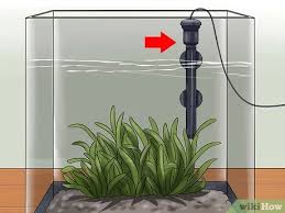 Check spelling or type a new query. How To Keep A Betta S Water Warm 6 Steps With Pictures