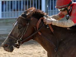 Trainer Kellyn Gorder enters spotlight after years of work