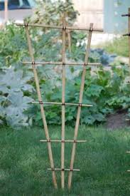 Then we cut six (or eight) poles per trellis to approximately the same length (somewhere betwen 8 and 12 feet depending on the poles we have). How To Build A Bamboo Garden Trellis Frugally Dengarden