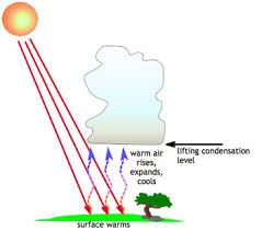 Cirrus clouds are more than 20,000 feet above the earth. Fun Cloud Facts For Kids