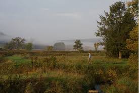 The Driftless Region: A Tapestry of Prairie, Savanna, & Collaboration