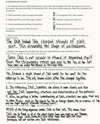 Name period dna extraction virtual lab go to the learn. Dna Extraction Lab Answers