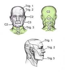 dermatomes anatomy overview gross anatomy natural variants