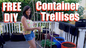 Whether you live in an apartment with a balcony or have. 3 Free Diy Trellises How To Plant Container Vegetables Container Garden Series 2 Youtube