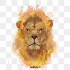flame lion combustion illustration elements lion king clipart ferocious hand painted png transparent clipart image and psd file for free download fire icons lion illustration illustration