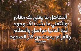 شعر عن التجاهل ليدي بيرد