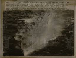 Image result for Brown 1968 Fleet