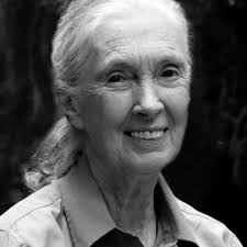 Especially now when views are becoming more polarized, we must work to  understand each other across political, religious and national boundaries.”  — Jane Goodall