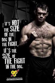 Inspirational warrior fighter quotes : Best Quotes For Fighters Inspiring Quotes