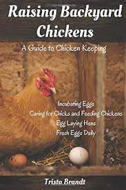 How much space do i need to keep chickens? Raising Backyard Chickens A Guide To Chicken Keeping From Incubating Eggs Caring For Chicks And Feeding Chickens To Egg Laying Hens Amazon De Brandt Trista Fremdsprachige Bucher