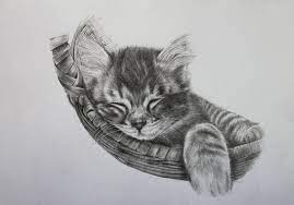 Do Not Disturb Pencil Drawing Of Sleeping Kitten Kitten Drawing Pencil Drawings Sleeping Kitten