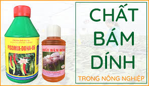 Top 2 Chất Bám Dính Nông Nghiệp Mang Lại Hiệu Quả Cao