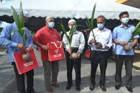 Serangga & tinja gajah, ibarat irama & lagu, berpisah tiada. Kelantan Sasar 200 Hektar Ladang Kelapa Pandan