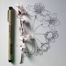 What's said within what isn't. Noelbadgespugh Blossoming Again 1 2 Ink Illustrazioni Floreali Schizzi Di Fiori Disegno Fiori