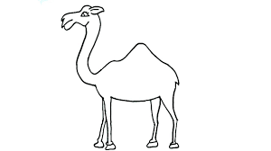 How to draw a cartoon camel. How To Draw A Camel For Kids In English How To Draw Animals For Kids Drawing Tutorial Youtube