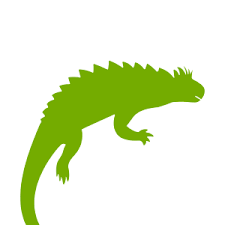 Image result for Pleopeltis  × simiana