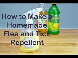 I have put this dog on everything and he is just too tasty. How To Make A Homemade Flea And Tick Repellent Youtube