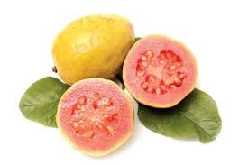 Esta fruta para muchos es muy similar al guayabo, guabirá, el arrayan y en sanguinto, que son frutas que al igual que la jaboticaba, nacen a través de un árbol bastante alto el cual puede ser cultivado en climas tropicales y subtropicales, ya que este árbol puede tolerar heladas leves y breces no por debajo de los menos 3 grados centígrados. No Dejes De Comer Guayaba Tendencias Opinion Bolivia