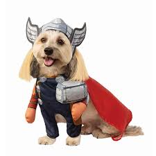 He is (at the moment) a nine week old german shepherd. Walking Thor Dog Cat Costume Pet Costume Center