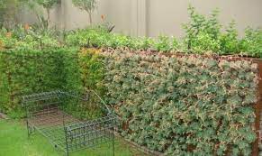 Gabions Can Be Made As A Green Wall Using A Mixture Of Rocks Coconut Fibre And Topsoil Fence Design Gabion Fence Design Garden Fence Panels