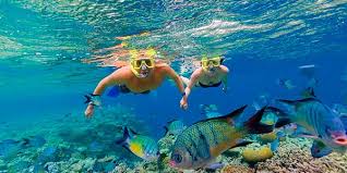 Travel Photo Of The Day Great Barrier Reef Australia