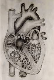 Maybe you would like to learn more about one of these? Heart Drawing Realistic Novocom Top
