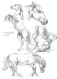 Home Portfolio Print Store Ko Fi Page Commissions Contact Blakedowning At Outlook Com Animal Drawings Horse Drawings Fantasy Illustration