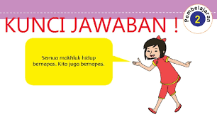 Check spelling or type a new query. Kunci Jawaban Tematik Tema 2 Kelas 5 Halaman 16 17 18 19 20 22 Pembelajaran 2 Subtema 1 Cara Tubuh Mengolah Udara Bersih