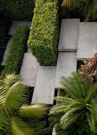 amenagement jardin moderne haie palmiers marches amenagement paysager idees jardin jardin contemporain