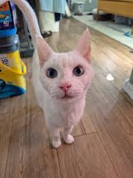 Candy Malinowski's Instagram, Twitter & Facebook