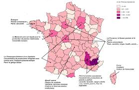 Les Plantes Medicinales Et L Herboristerie A La Croisee De Savoirs Ancestraux Et D Enjeux D Avenir