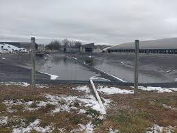 A Tale of Two Dairies