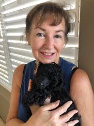 Introduction and photo of a gunite pool with a poodle