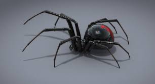 Black Widow Spider 3d Model Black Widow Spider Tattoo Black Widow Spider Widow Spider