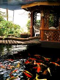 A serious koi pond should be at least 3 feet deep and no areas should be shallower than 2 feet. Enjoy The Peace And Serenity With Backyard Pond Decor Home To Z Fish Ponds Backyard Ponds Backyard Fish Ponds