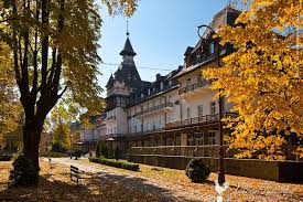 Mai jos poate fi vizualizat un extras din document (aprox. Statiunea CÄlimÄneÈti CÄciulata