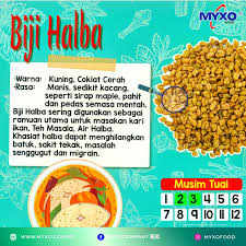 Rasa ini sering kali kita kaitkan dengan apa itu hati ? Myxo Company æ±æ˜‡ Halba Itu Apa Mungkin Halba Facebook
